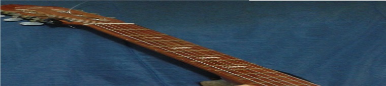 ESTA WP A Fingerboard guitar